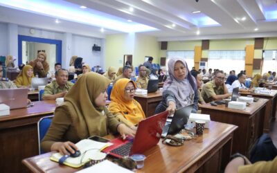 Dinkominfo Gandeng BPS Berikan Sosialisasi Prosedur Rekomendasi untuk Data Statistik