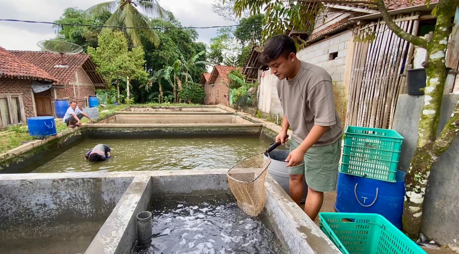 Featured image for Gagal Cari Kerja, Pemuda Asal Gentansari Ini Sukses Raup Cuan Ratusan Juta dari Ikan Lele